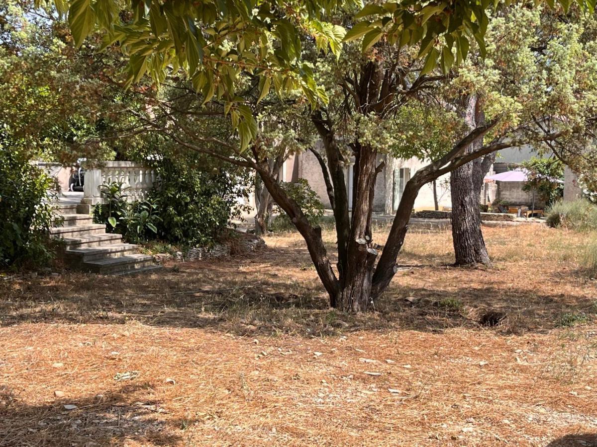Maisonnette Independante Avec Jardin/Patio นีมส์ ภายนอก รูปภาพ